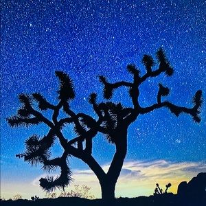 Meet your Posher, Kenny